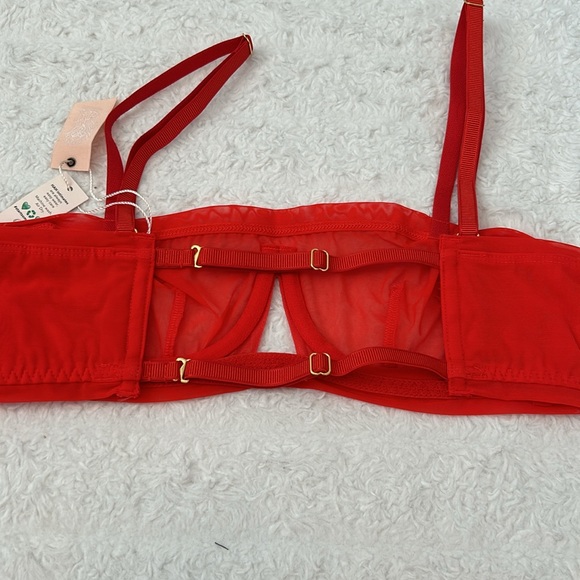 NWT We Are HAH Wired Bra in Blood Orange size : 30-38 B - Picture 4 of 5
